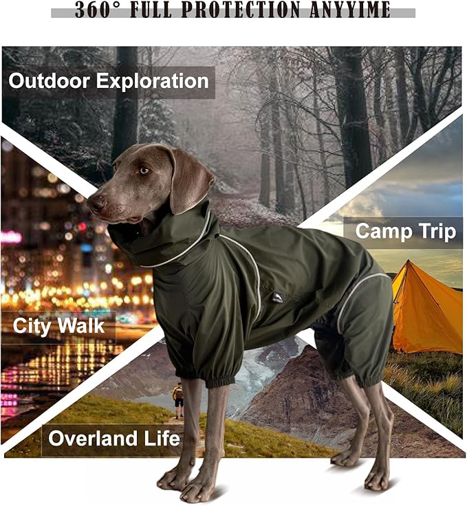 Dog Lightweight Windbreaker, Dog Outdoor 4-Legs Jacket, 0.5 lbs,Durable Water Repellent, Hooded, Easy on/Off with Collar and Harness, Reflective, Packable,Dark Olive -XXL(Male)