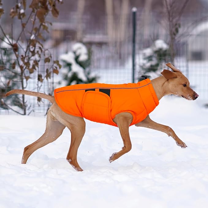 Kuoser Dog Jacket, Warm Dog Coats for Small Dogs, Reflective Doggie Winter Jacket Cold Weather Pet Coats with Leash Hole, Winter Coat Apparel for Yorkie Chihuahua, Orange XS