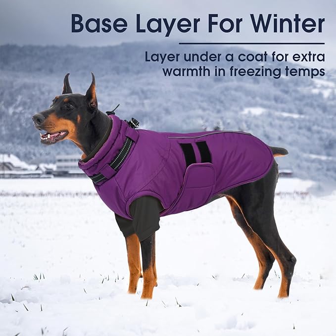 IECOii 2 Pack Dog Fleece Sweater for Small Dogs, Warm Dog Turtleneck with Stretch for Dachshund, Cozy Fall Winter Pullover Dogs Sweatshirt with Sleeve, Indoor & Outdoor Sweaters for Walking, M