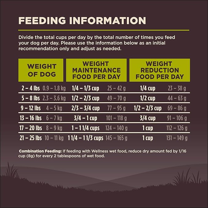 Wellness CORE Dry Dog Food, Small Breed, Grain-Free, High Protein, Natural, Healthy Weight Turkey & Chicken Recipe, (12-Pound Bag)