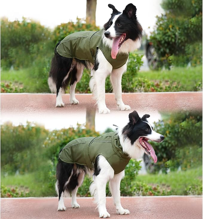 Waterproof Dog Raincoat, Adjustable Lightweight Dog Rain Jacket with Reflective Strip Leash Hole for Small Medium Large Dogs (Green, XX-Large(55-77lb))