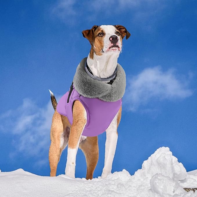 PETDSH Dog Coat Large, Windproof Dog Jacket with Warm Fleece Lining, Thickened Collar Dogs Winter Coat, Adjustable Reflective Pet Coats for Cold Weather (Purple, XXX-Large)