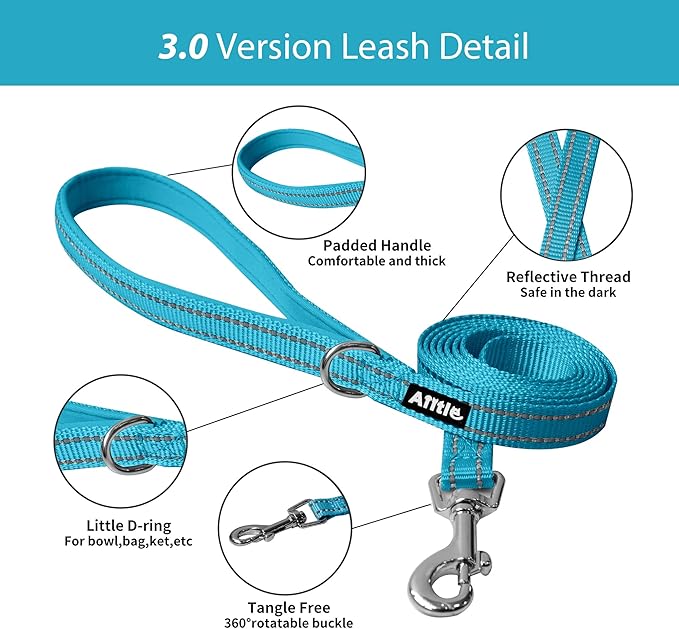 AIITLE Escape Proof Dog Harness - Step in Adjustable Dog Harness No Choke Over with Breathable Mesh and Quick-Release Buckle for Summer- Outdoor Walking, Camping, Training for Medium Dogs Hot Pink XL