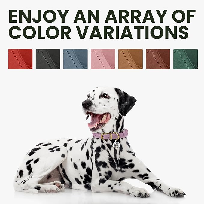 BronzeDog Rolled Leather Dog Collar with QR ID Tag, Adjustable Soft Round Collars for Small Medium Large Dogs Puppy (11" - 14 1/2" Neck Size, Turquoise)