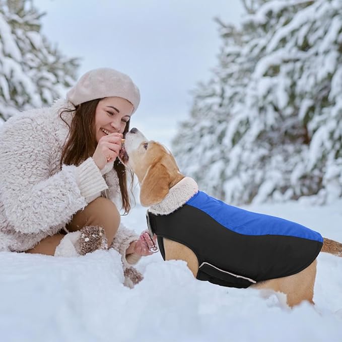 Warm Dog Coat,Waterproof Jacket in Winter Adjustable and Reversible Doggy Fleece Outfit,Thick Clothes with Foldable Collar for Puppy in Cold Days,XS RoyalBlue