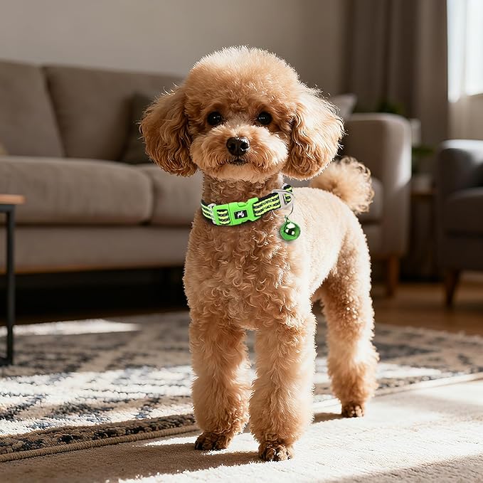 Small Dog Collar with Bell Reflective - Adjustable Tiny XS XXS Breed Collar for Girl Boy Chihuahua Puppies, Night Walk Safety Accessory(Green S)