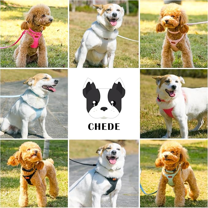 No Pull Dog Harness- Lightweight, Soft, Adjustable Small Harness Collar and Leash Set, Suitable for Cats Puppy Small and Medium-Sized Dog Outdoor Training and Running (Green, XXS)
