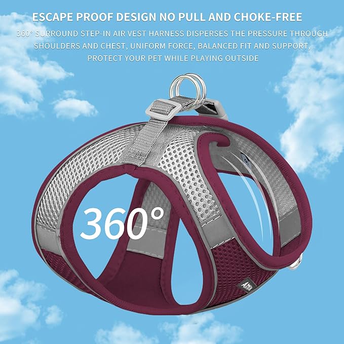 AIITLE Small Harness for Puppy with A Leash - Summer Dog Vest Harness with Super Breathable Mesh, Reflective No-Pull Pet Harness for Outdoor Walking, Camping for Small Dogs, Cats Burgundy XXS