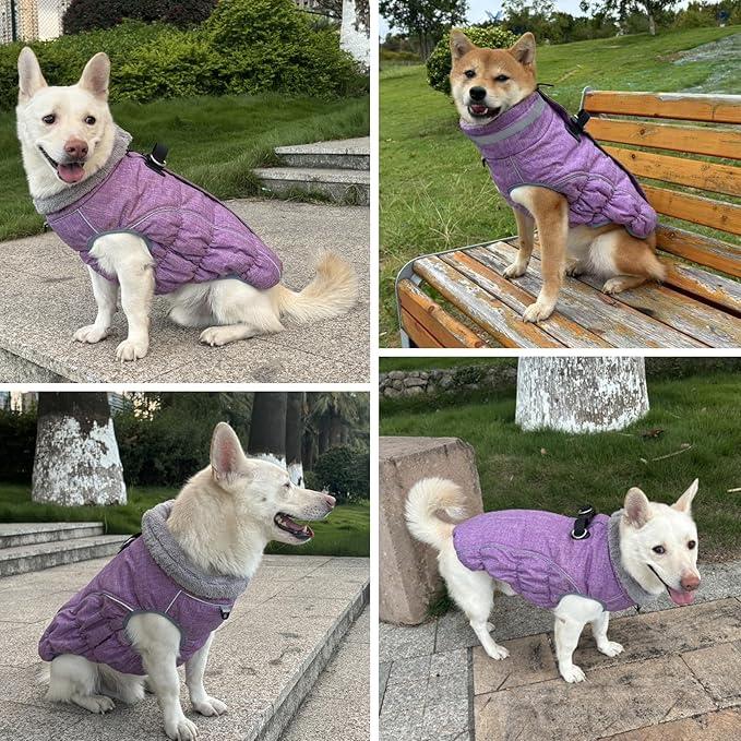 Malier Dog Coat, Reflective Dog Jacket Waterproof Windproof Puppy Cold Weather Coats with Harness Built in, Winter Extra Warm Pet Coat Fleece Vest for Small Large Pets and Puppy (Purple, X-Small)