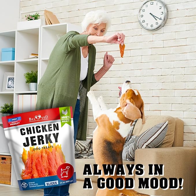 Dog Treats Chicken Jerky 1.5 Lb - Human Grade Pet Snacks & High Protein Meat - All Natural High Protein Dried Strips - Best Chews for Training Small & Large Dogs - Bulk Soft Pack Made for USA