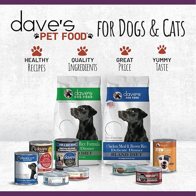 Dave's Pet Food Grain Free Wet Cat Food (Shredded Chicken in Gravy), Made in Canada Naturally Healthy Canned, Added Vitamins & Minerals, Wheat & Gluten-Free, GMO-Free, 5.5oz (24 Pack)