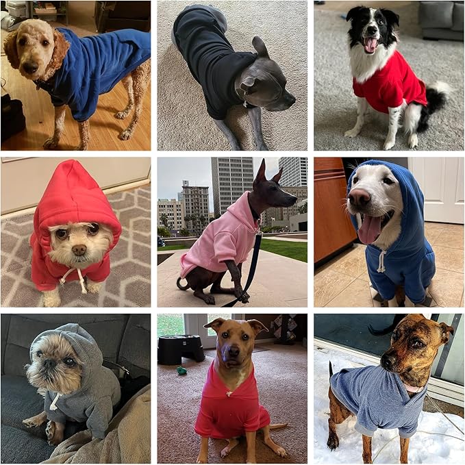 KOOLTAIL Basic Dog Hoodie - Soft & Warm Pet Hoodie Sweater with Leash Hole and Pocket, Dog Winter Coat, Cold Weather Clothes Sweatshirt for Small Medium Large Dogs Puppy Cat Boys Girls Deep Green XL
