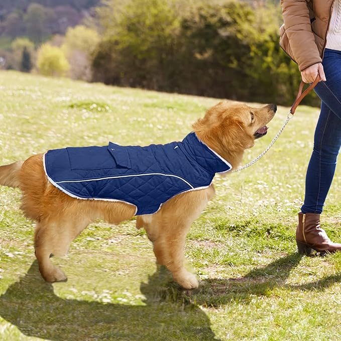 Malier Dog Winter Coat, Windproof Dog Cold Weather Coats with Real Pocket, Winter Extra Warm Pet Coat Fleece Jacket Reflective Clothes for Small Medium Large Dogs and Puppy (Blue, XX-Large)