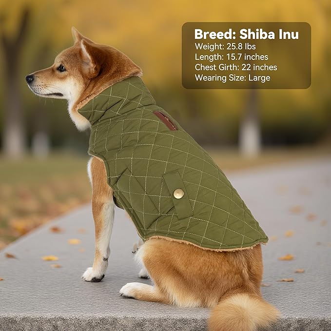 Dog Winter Coat, Dog Jacket with Warm Fleece Lined, Waterproof Windproof Dogs Cold Weather Coats Clothes for Puppy Dogs Snowsuit with Leash Hole, Green Small