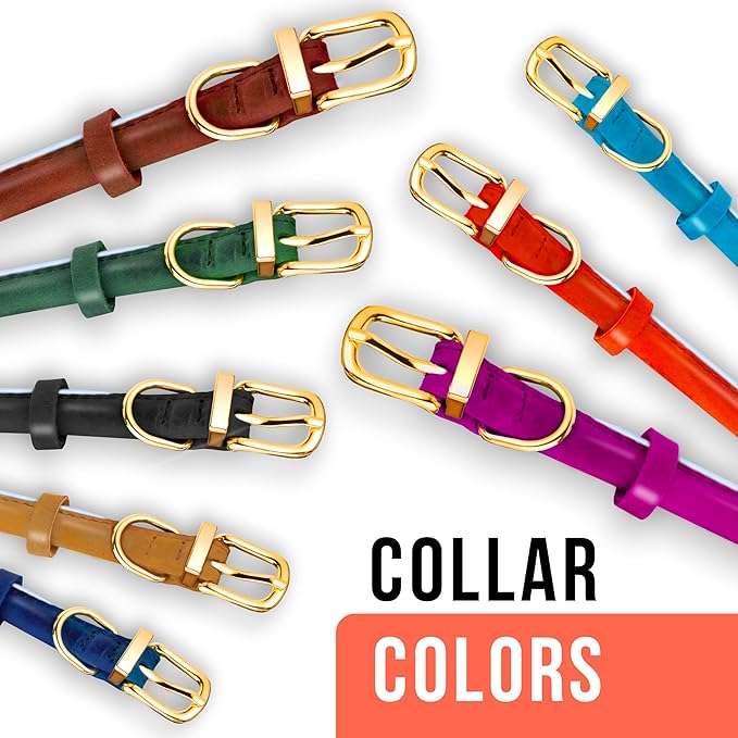 OOPSDOGGY Reflective Rolled Leather Dog Collar Adjustable Soft Padded Pet Collar for Small Medium Large Breed Dogs (Green, S, 10"-13")