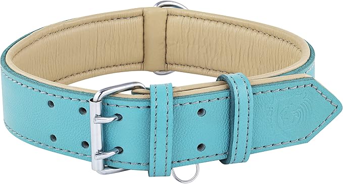 Riparo Adjustable Leather Dog Collar - Heavy Duty Wide Dog Collar for Small, Medium, Large and Extra Large Dogs with Dog Tag Holder, Blue Dog Collars (XL: 1.75" Wide for 21ā-25ā Neck, Aqua)