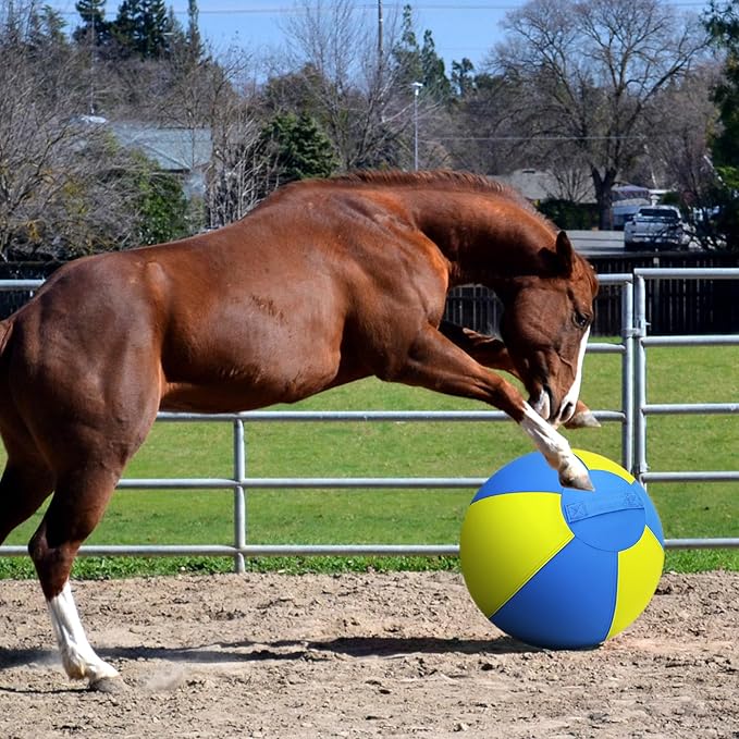 Herding Ball for Dogs and Horses - 18" Jolly Ball for Dogs, Agility Training Equipment, Herding for Australian/German Shepherd, Improved Bite-Resistant, Reinforced Sewing Dog Toys - Blue&Yellow(NEW)