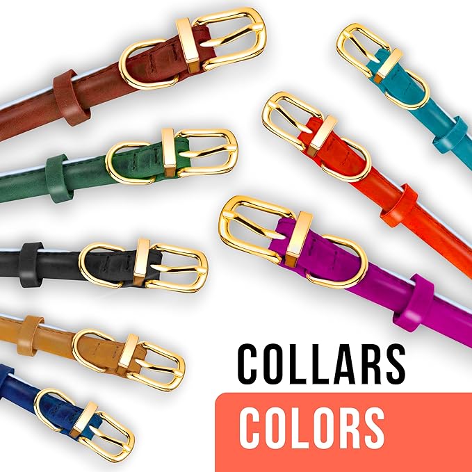 OOPSDOGGY Reflective Rolled Leather Dog Collar Adjustable Soft Padded Pet Collar for Small Medium Large Breed Dogs (Teal, XS, 8"-11")