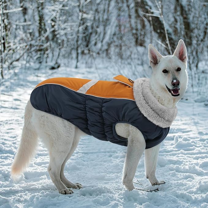 Queenmore Waterproof Dog Coat for Small Dogs,Reflective Windproof Dog Jackets with Leash Hole,Winter Dogs Coat with Zipper On Back,Warm Snowsuit with Fleece Lining(Brown,S