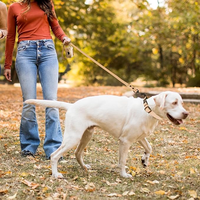 Wisedog Dog Collar and Leash Set, Waterproof Adjustable Puppy Collars with Cute Tag 6FT Dog Leash with Poop Bag for Small Medium Large Dogs (S, Sand Color)