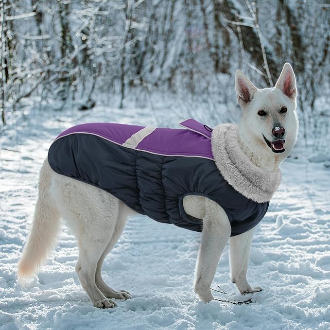 Queenmore Waterproof Dog Coat for Small Dogs,Reflective Windproof Dog Jackets with Leash Hole,Winter Dogs Coat with Zipper On Back,Warm Snowsuit with Fleece Lining(Purple,S