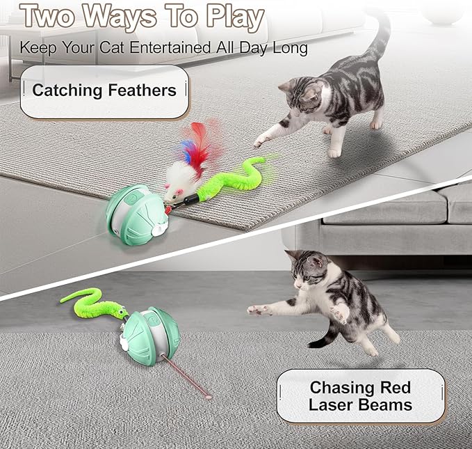 Interactive Cat Toy Ball - 2-in-1 Indoor Cat Toy with Feather Attachment and Laser Interactive Cats Balls, Moving Electric Rolling Ball Toys Designed for Bored Kittens and Adult Cats