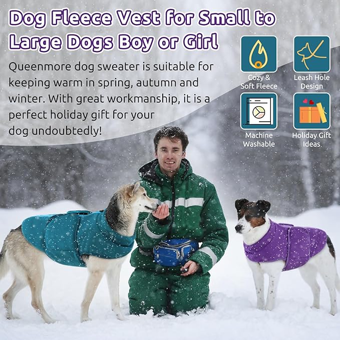 Queenmore Dog Sweaters - Soft Fleece Pullover Jacket, Warm Winter Dog Clothes, Dachshund & Cat Size, Boy or Girl (Peacock-Blue, S)
