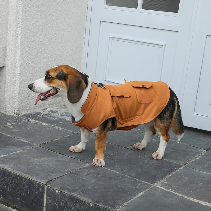 Workwear Style Dog Coats with Harness Built in for Small Dogs Windproof Warm Puppy Jacket with Storage Pockets for Cold Winter,BrightBeige XXL