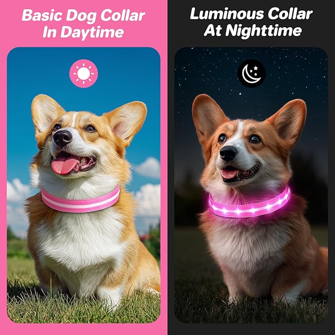PcEoTllar Light Up Dog Collars, Led Dog Collar, Rechargeable, Night Walking, Waterproof, Glow in The Dark Dog Collars Light for Large Small Medium Dogs, Pink m