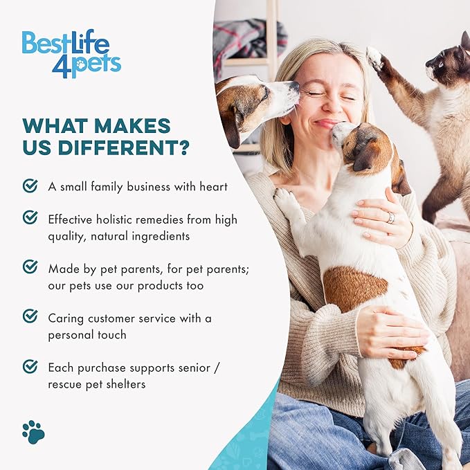 Dog Kennel Cough Treatment & Natural Decongestant, Breathe Easy Cough Treatment for Wheezing, Sneezing, and Nasal Congestion, Supports Respiratory Health and Eases Cold Symptoms, 800 Small Pills