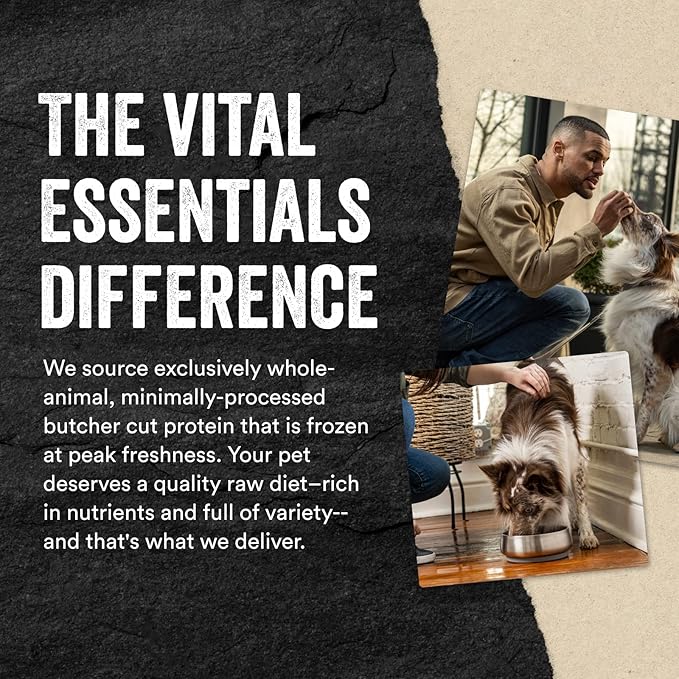 Vital Essentials Freeze Dried Raw Protein Mix-in Dog Food Topper, Chicken Mini Nibs Topper for Dogs, 6 oz