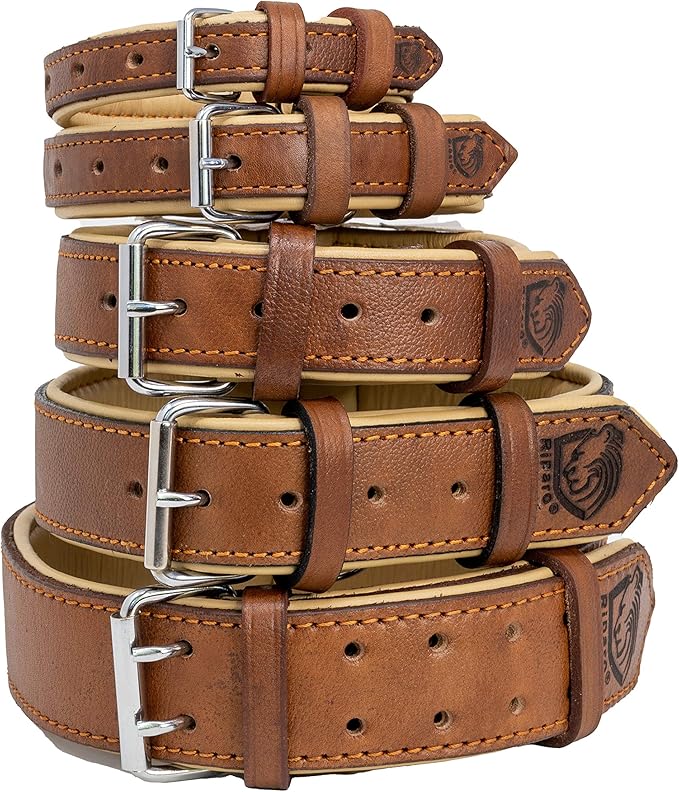 Riparo Dog Collars for Medium Dogs, Genuine Leather Dog Collar, Medium Dog Collar (M: 1" Wide for 13.5ā-17.5ā Neck, Black/Orange Thread)