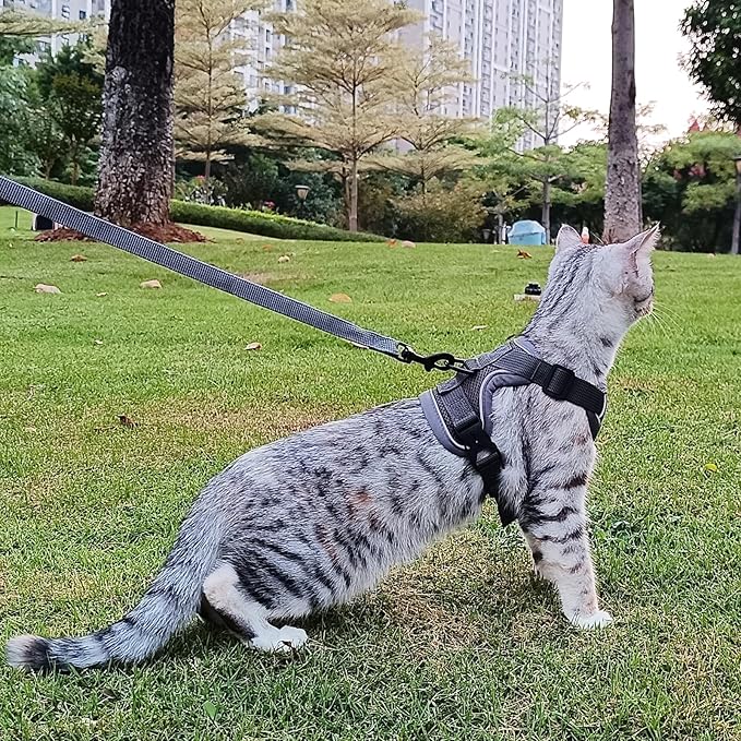 Cat Harness and Leash Set Escape Proof Tactical Extra Large Kitten Harness Emotional Support Cat Vest, Grey, XXL
