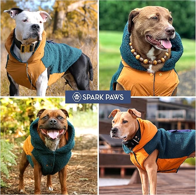 Spark Paws Reversible Dog Sweater, Sherpa Vest with Warm Fleece Lining, Warm Coat for Winter, Suitable for Small Medium, Large, XL XXL Dogs - Orange and Green - M