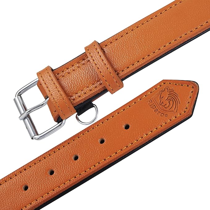 Riparo Orange Leather Dog Collar - Padded Heavy Duty Wide Dog Collar for Small, Medium, Large and Extra Large Dogs with Dog Tag Holder, Large Dog Collars (L: 1.5" Wide for 17"-21" Neck, Orange)