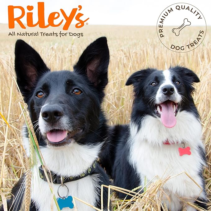 Riley's Cod Skins for Dogs - Air Dried Single Ingredient Dog Treats - Long, Hand Wrapped Cod Skin Dog Treats - Sustainably Caught in Iceland - 2 Pack 10 inch Chew Sticks