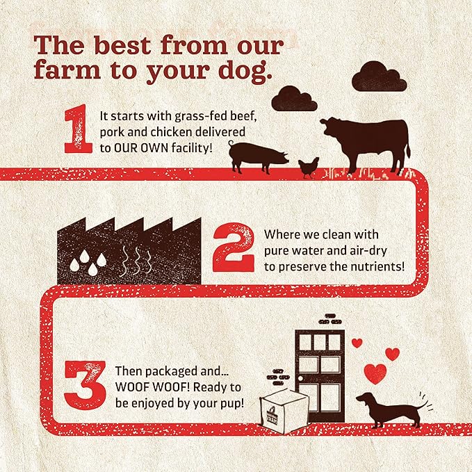 Natural Farm Dog Bones for Large Dogs (5-6 Inch, 2-Pack), 100% Beef Bone Marrow Dog Treats, High in Minerals & Vitamins, Grain-Free, Long-Lasting Bones Chews, Supports Dental Health
