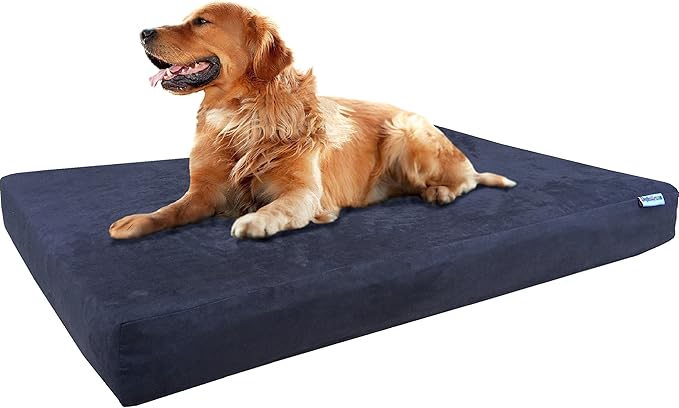 Beds & Furniture