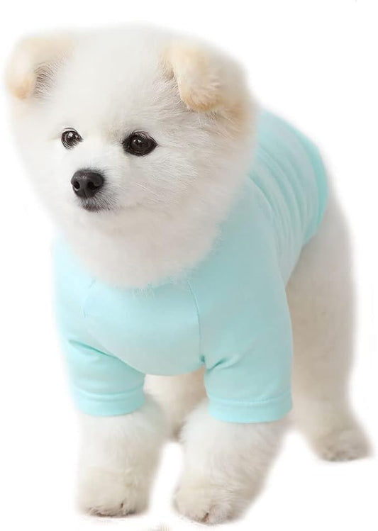Dog Shirt for Small Dogs Plain T-Shirts Soft Breathable Dog Cotton Shirt pet Clothes (Small, Mint)