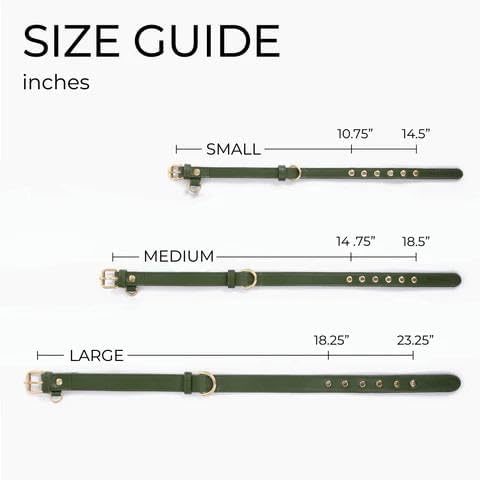 Two Tails Pet Company Cactus Vegan Leather Dog Collar, Adjustable Pet Collar with Gold Hardware and D Rings for Leash and ID Tag for Dogs and Puppies, Easy to Clean & Eco Friendly, Black, Size Small
