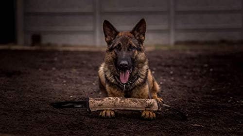 Dingo Gear, Natural Jute tug Toy for Dog Training Agility tug of war, Bumper Toy Dog bite, 1 Handle 1.5x11 S00144