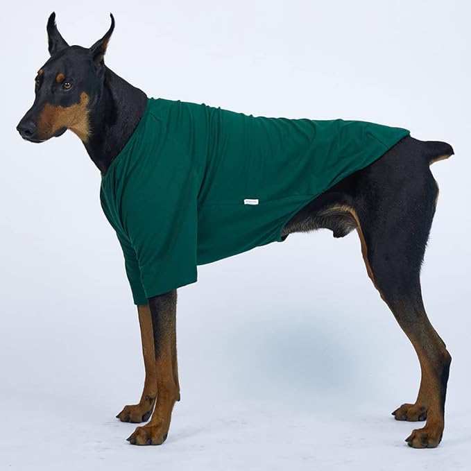 Dog Shirt for Small Dogs Plain T-Shirts Soft Breathable Dog Cotton Shirt pet Clothes (3X-Large, Green)