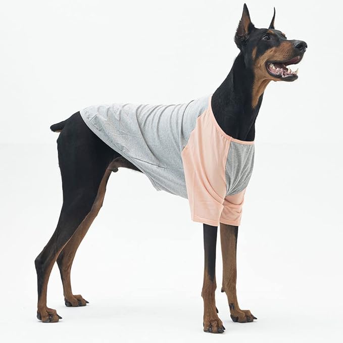 Dog Shirt for Small and Large Dogs Raglan Cotton T-Shirts Soft Breathable Dog Shirts pet Clothes Gray Series (4X-Large, Gray/Peach)