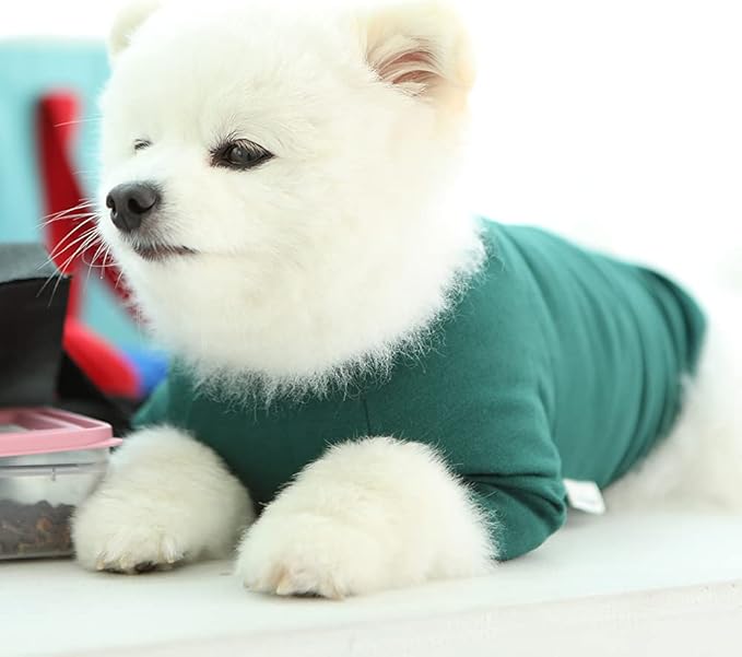 Dog Shirt for Small Dogs Plain T-Shirts Soft Breathable Dog Cotton Shirt pet Clothes (Small, Green)
