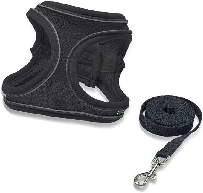 Dog Harness Small Sized and Leash Set, Dog Harness with Leash Set, Comfortable Air Mesh Dog Vest Harness with Reflective Strip, Reflective for Safe Easy Walking Dogs, Cats, Black M