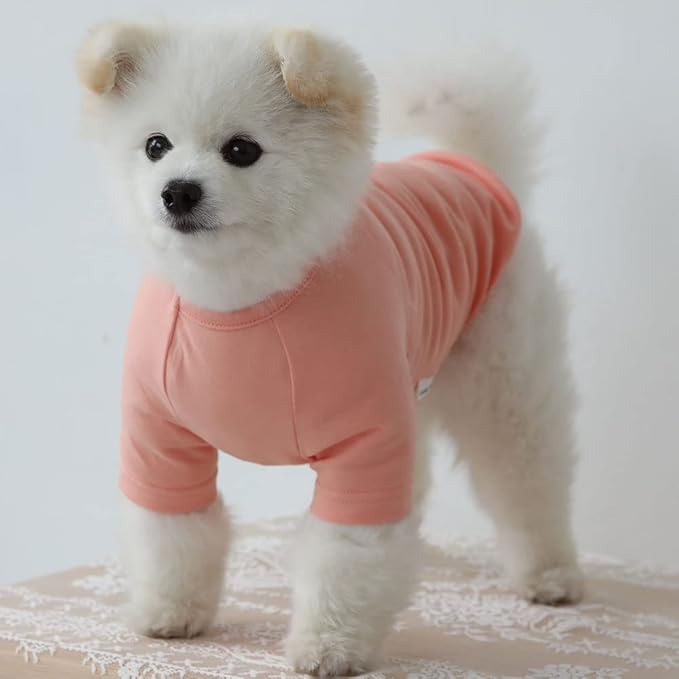 Dog Shirt for Small Dogs Plain T-Shirts Soft Breathable Dog Cotton Shirt pet Clothes (Small, Peach)