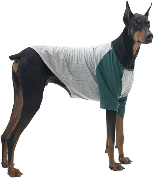 Dog Shirt for Small and Large Dogs Raglan Cotton T-Shirts Soft Breathable Dog Shirts pet Clothes Gray Series (3X-Large, Gray/Green)