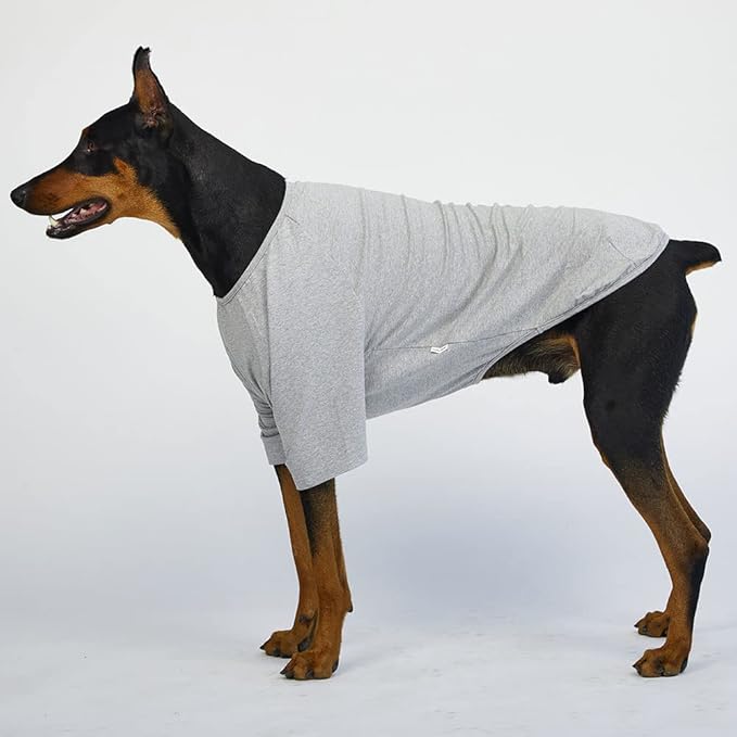 Dog Shirt for Small Dogs Plain T-Shirts Soft Breathable Dog Cotton Shirt pet Clothes (4X-Large, Gray)