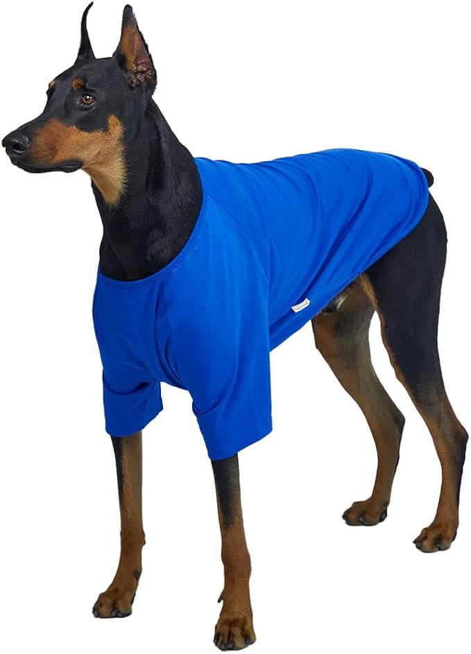 Dog Shirt for Small Dogs Plain T-Shirts Soft Breathable Dog Cotton Shirt pet Clothes (2X-Large, Blue)