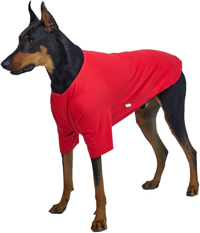 Dog Shirt for Small Dogs Plain T-Shirts Soft Breathable Dog Cotton Shirt pet Clothes (2X-Large, Red)